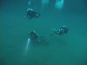 Diving PackagesOur p.. Honduras - Turismo - 